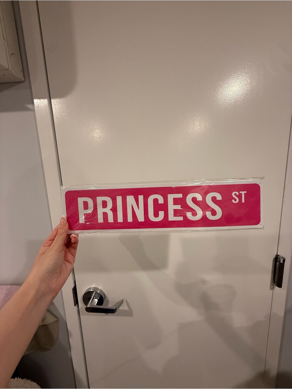 SHEIN Pink "PRINCESS ST" Wall Sign Decal